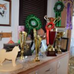 Samurai Yashiki kennel - nagrade - awards