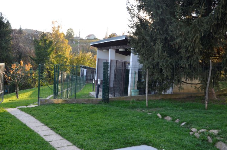 Samurai Yashiki kennel - Uzgajivačnica