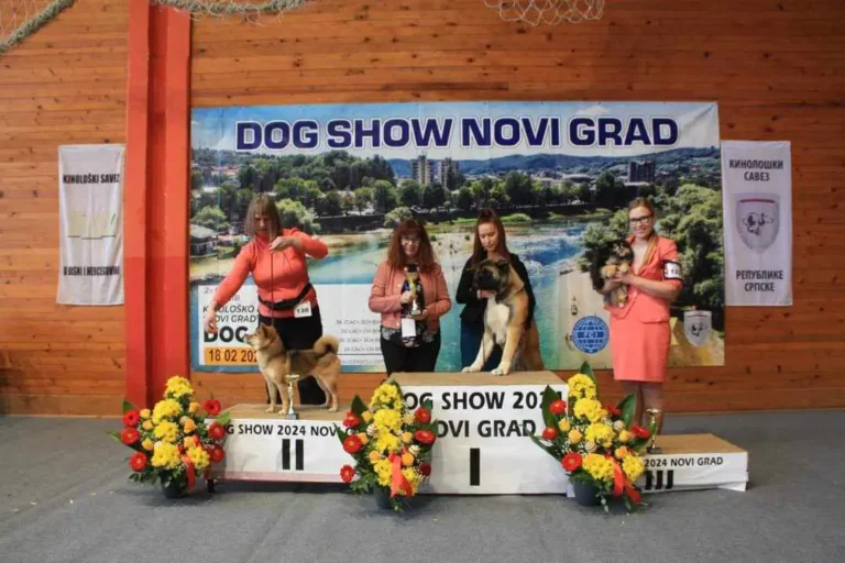 CAC 1 NOVI GRAD (BiH) 18.02.2024.