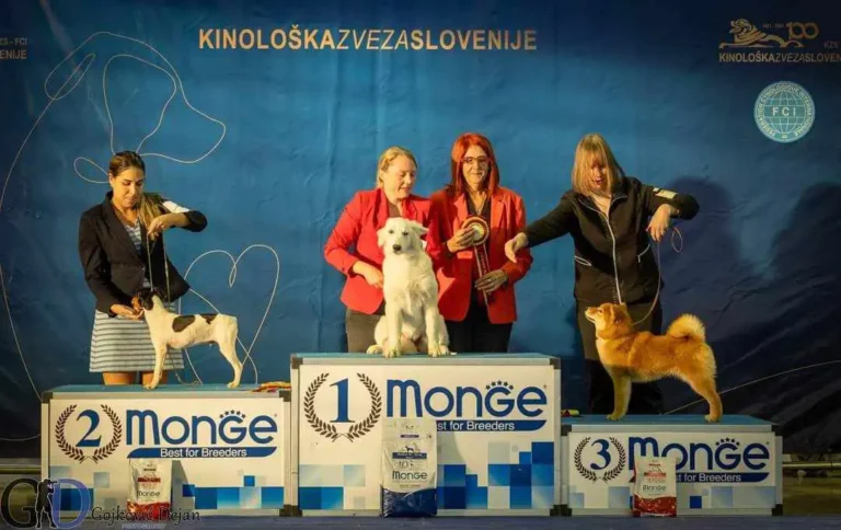 CACIB CELJE (SLO) 14.01.2024.