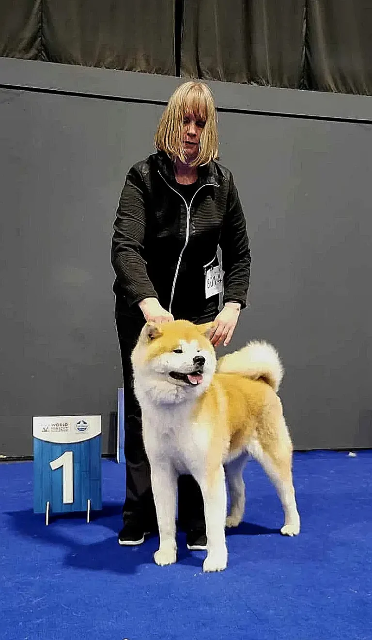 WORLD DOG SHOW ZAGREB (HR) 27.04.2024.