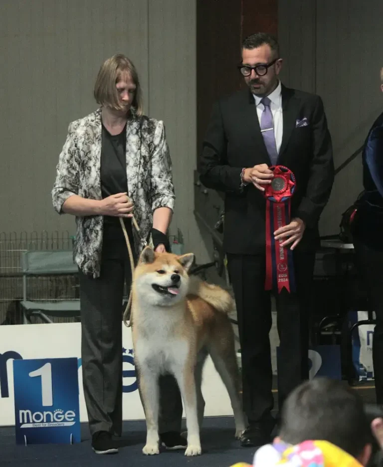 Samurai Yashiki - European dog show Celje - Edskan - 2024-10-06