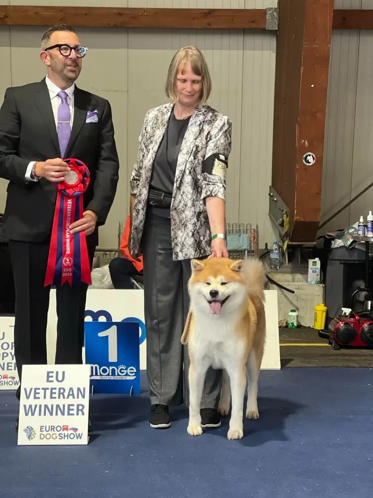 Samurai Yashiki - European dog show Celje - Edsthorn - 2024-10-06